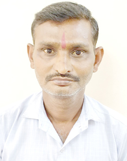 Ananda Shankar Lute